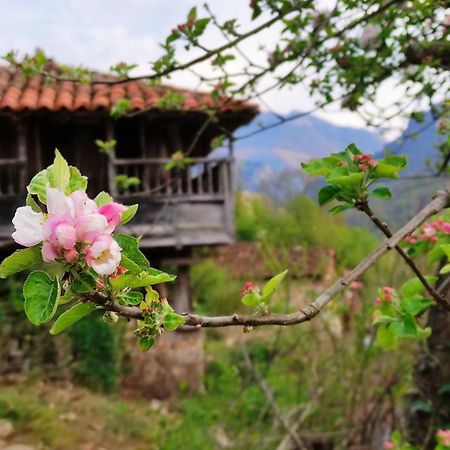Villar de Vildas Casa La Parraヴィラ エクステリア 写真