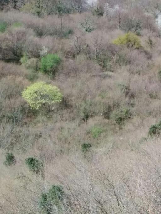 Villar de Vildas Casa La Parraヴィラ エクステリア 写真